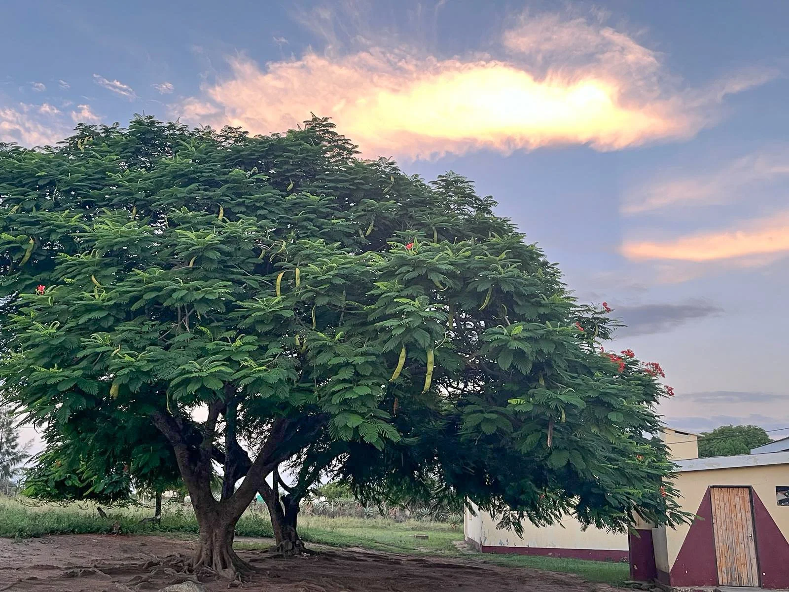 What does Easter mean to Me? — Hands at Work in Africa